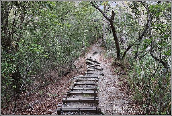 太魯閣水文山步道-2021-01-224.jpg