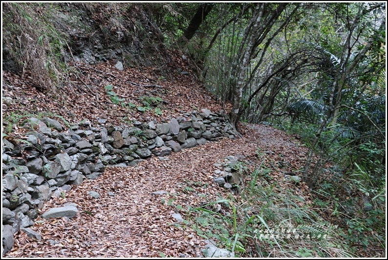 太魯閣水文山步道-2021-01-290.jpg