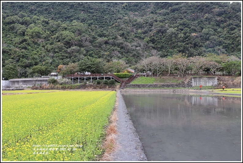 南安油菜花田-2021-01-35.jpg