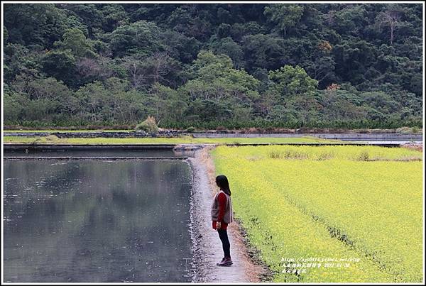 南安油菜花田-2021-01-48.jpg