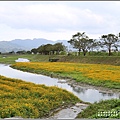 鳳林溪水岸黃波斯-2021-02-51.jpg