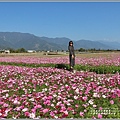 二層坪水橋大波斯花海-2021-02-25.jpg