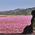 二層坪水橋大波斯花海-2021-02-58.jpg