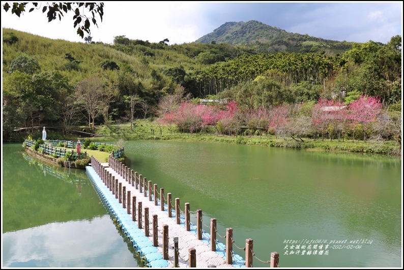 花蓮,大加汗部落,碧赫潭,櫻花,賞櫻,花蓮住宿