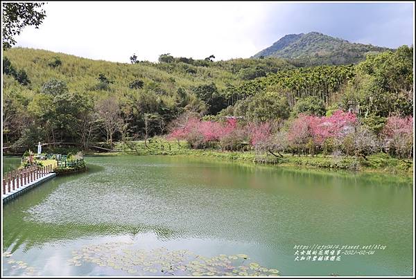 大加汗碧赫潭櫻花-2021-02-74.jpg