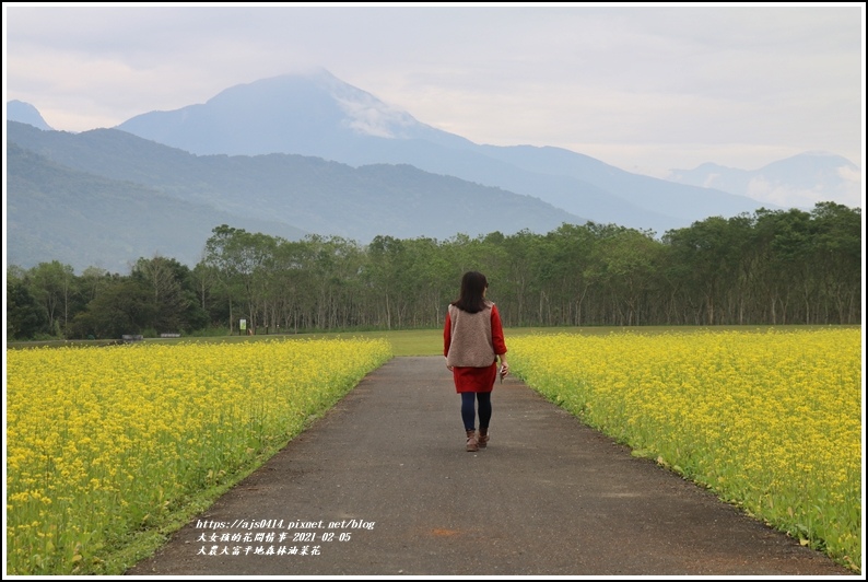 大農大富平地森林油菜花-2021-02-09.jpg