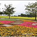 大農大富平地森林油菜花-2021-02-42.jpg