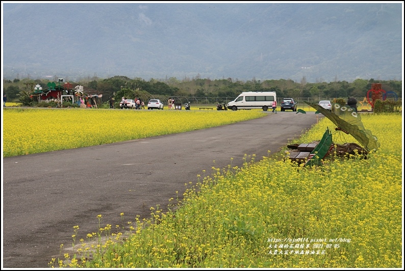 大農大富平地森林油菜花-2021-02-45.jpg