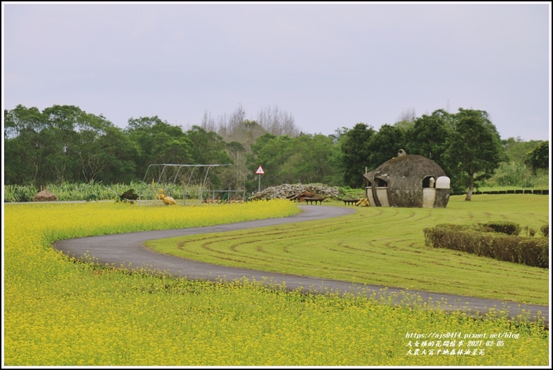 大農大富平地森林油菜花-2021-02-47.jpg