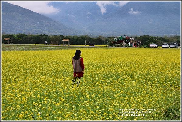 大農大富平地森林油菜花-2021-02-53.jpg