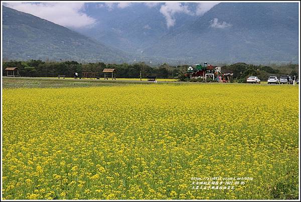 大農大富平地森林油菜花-2021-02-52.jpg