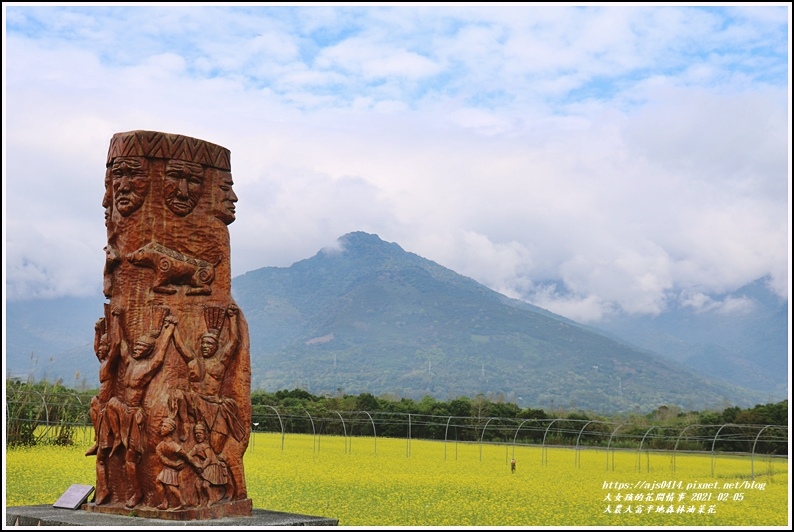 大農大富平地森林油菜花-2021-02-58.jpg