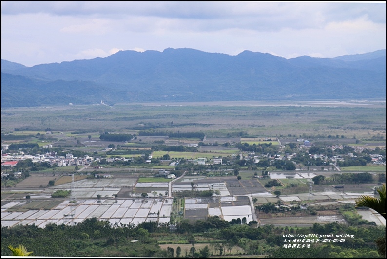 鳳林櫻花步道-2021-02-33.jpg