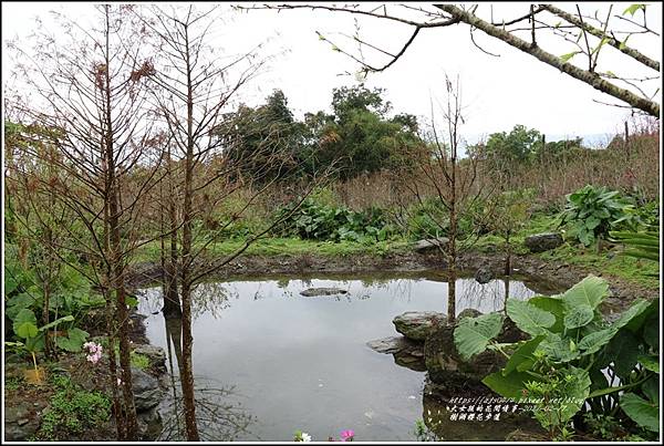 樹湖櫻花步道-2021-02-29.jpg