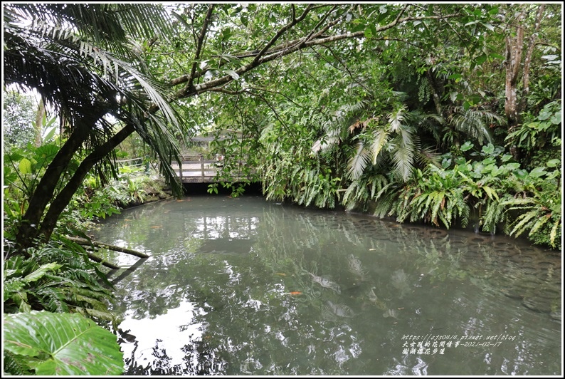 樹湖櫻花步道-2021-02-63.jpg