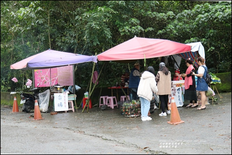 樹湖櫻花步道-2021-02-92.jpg