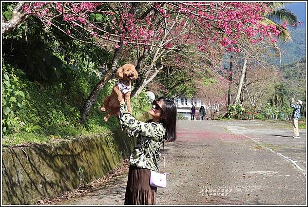 玉山神學院櫻花-2021-02-72.jpg