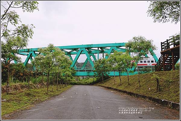 紅葉溪防汛道路苦楝花-2021-03-52.jpg