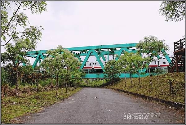 紅葉溪防汛道路苦楝花-2021-03-51.jpg