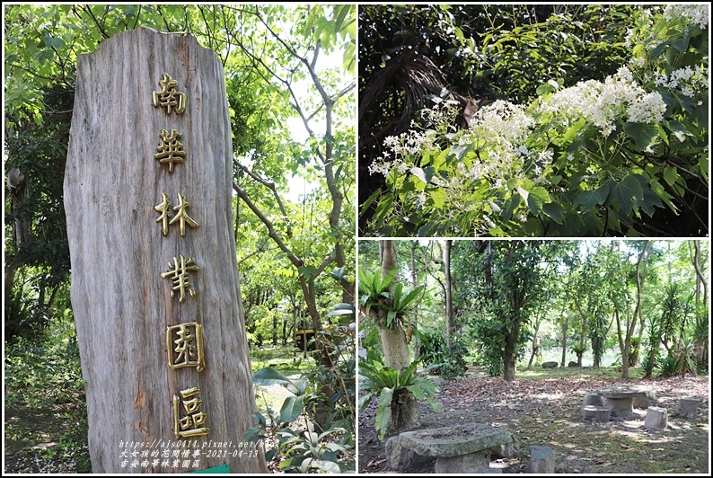 吉安南華林業園區-2021-04-05.jpg