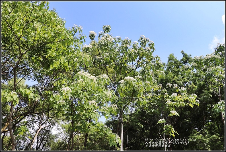 吉安南華林業園區-2021-04-23.jpg