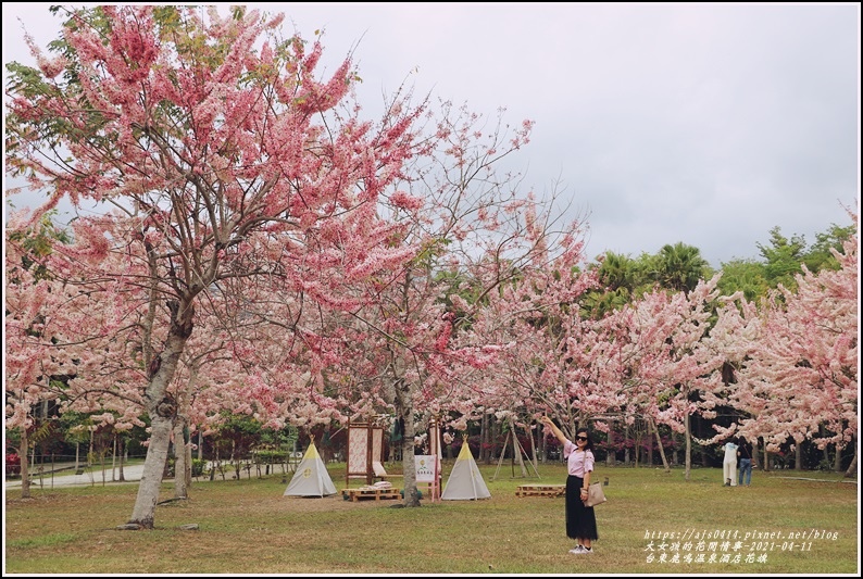 台東鹿鳴溫泉酒店花旗木-2021-04-16.jpg