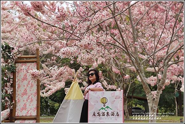 台東鹿鳴溫泉酒店花旗木-2021-04-30.jpg