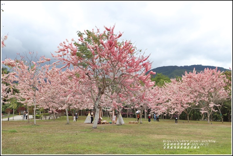 台東鹿鳴溫泉酒店花旗木-2021-04-68.jpg