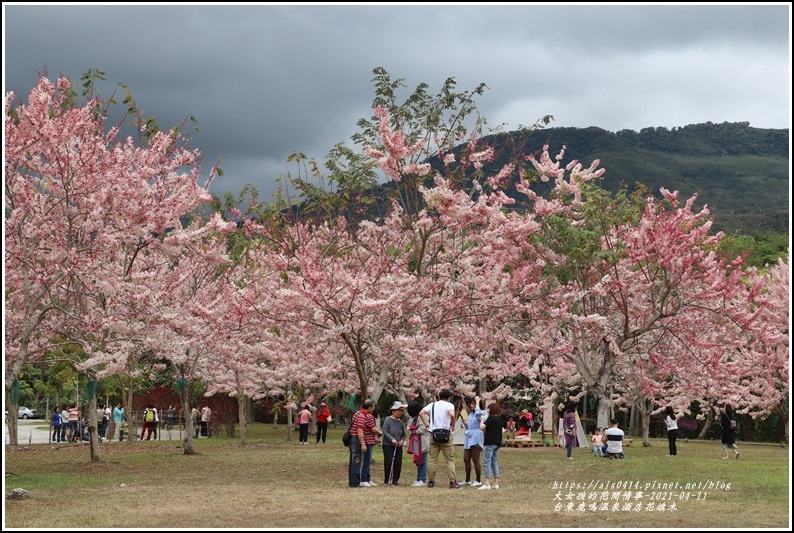 台東鹿鳴溫泉酒店花旗木-2021-04-107.jpg