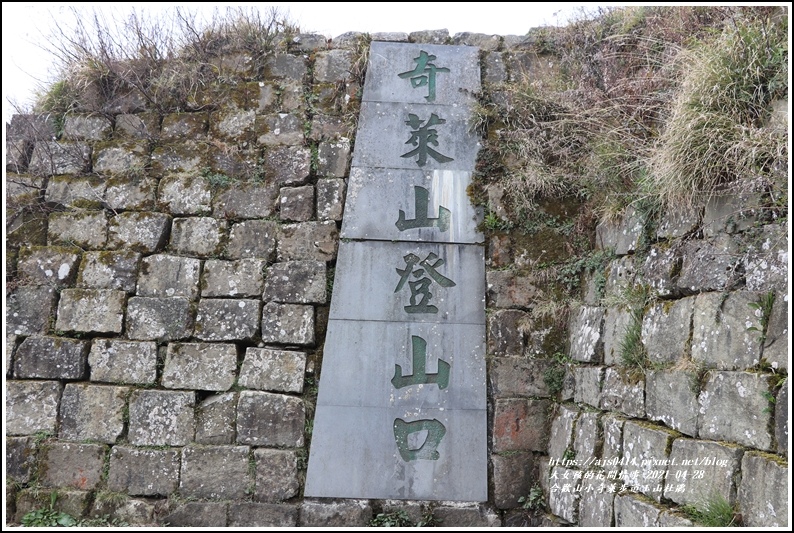 合歡山小奇萊步道玉山杜鵑-2021-04-03.jpg 合歡山小奇萊步道玉山杜鵑-2021-04-03.jpg