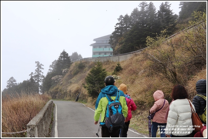 合歡山小奇萊步道玉山杜鵑-2021-04-54.jpg