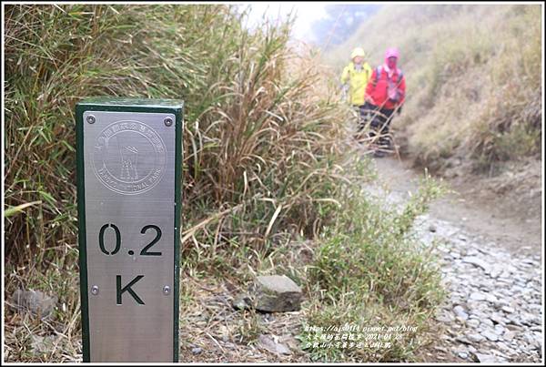 合歡山小奇萊步道玉山杜鵑-2021-04-73.jpg