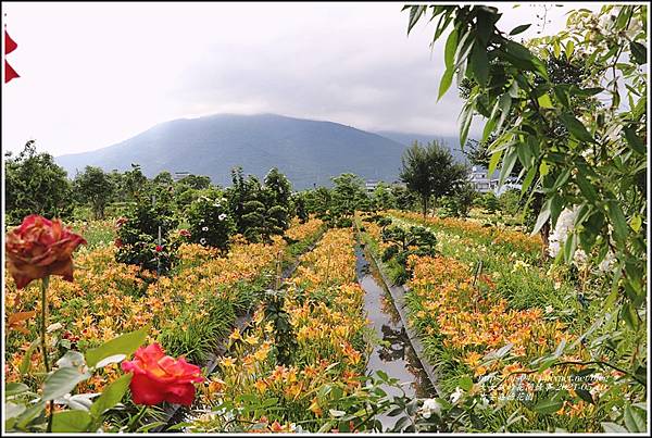 吉安嘉德花田-2021-05-108.jpg