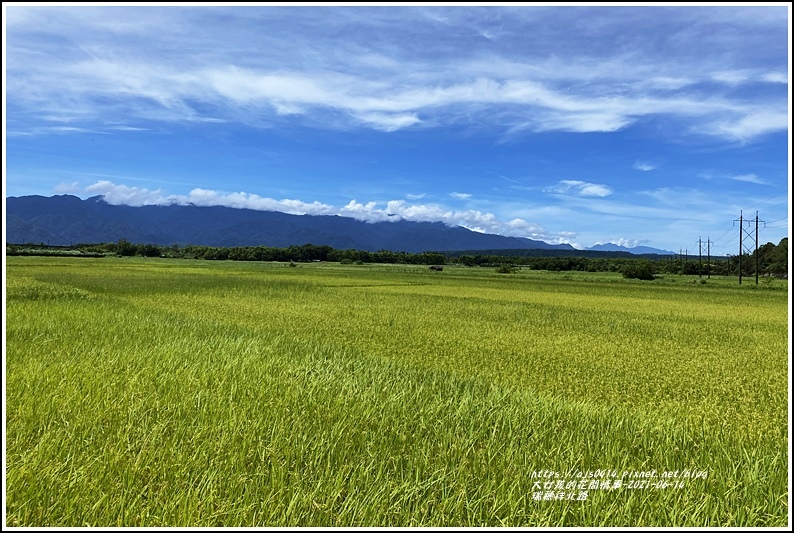 瑞穗祥北路-2021-06-02.jpg