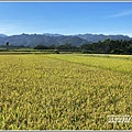 瑞穗台9線富源段-2021-06-09.jpg