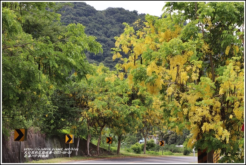 花蓮193-阿勃勒-2021-06-01.jpg