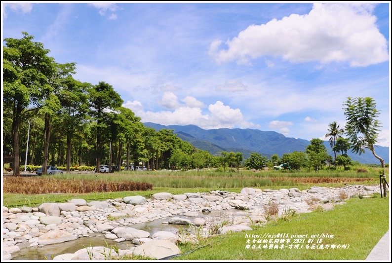 縱谷大地藝術季-穹頂上有花-2021-07-02.jpg