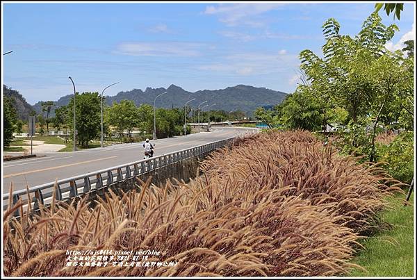 縱谷大地藝術季-穹頂上有花-2021-07-28.jpg