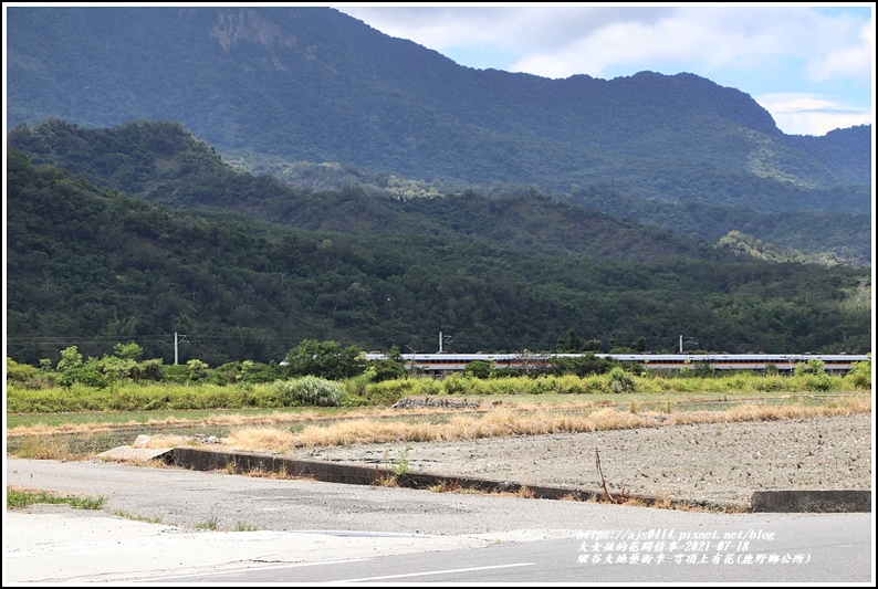 縱谷大地藝術季-穹頂上有花-2021-07-31.jpg