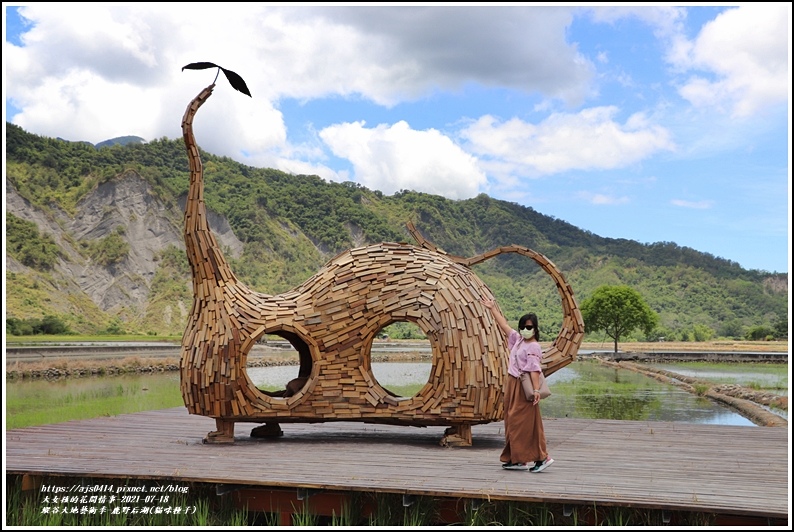 縱谷大地藝術季-鹿野后湖(貓咪種子)-2021-07-07.jpg