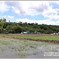 縱谷大地藝術季-鹿野后湖(貓咪種子)-2021-07-12.jpg