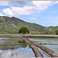 縱谷大地藝術季-鹿野后湖(貓咪種子)-2021-07-13.jpg