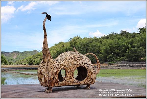 縱谷大地藝術季-鹿野后湖(貓咪種子)-2021-07-17.jpg