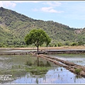 縱谷大地藝術季-鹿野后湖(貓咪種子)-2021-07-14.jpg