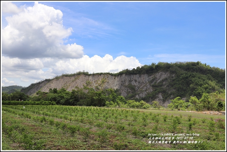 縱谷大地藝術季-鹿野后湖(貓咪種子)-2021-07-18.jpg