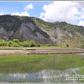 縱谷大地藝術季-鹿野后湖(貓咪種子)-2021-07-21.jpg