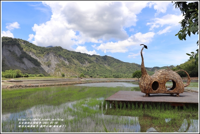 縱谷大地藝術季-鹿野后湖(貓咪種子)-2021-07-20.jpg