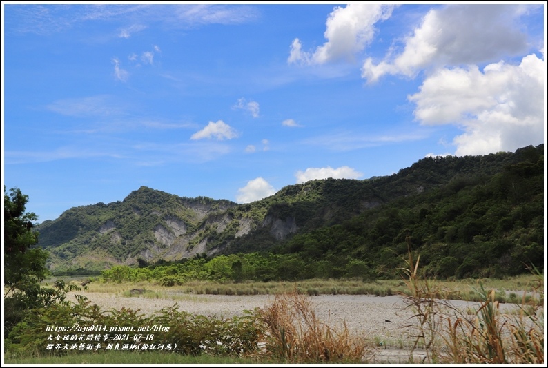 縱谷大地藝術季-新良濕地(粉紅河馬)-2021-07-01.jpg