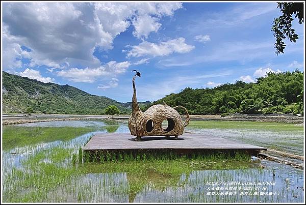 縱谷大地藝術季-鹿野后湖(貓咪種子)-2021-07-24.jpg