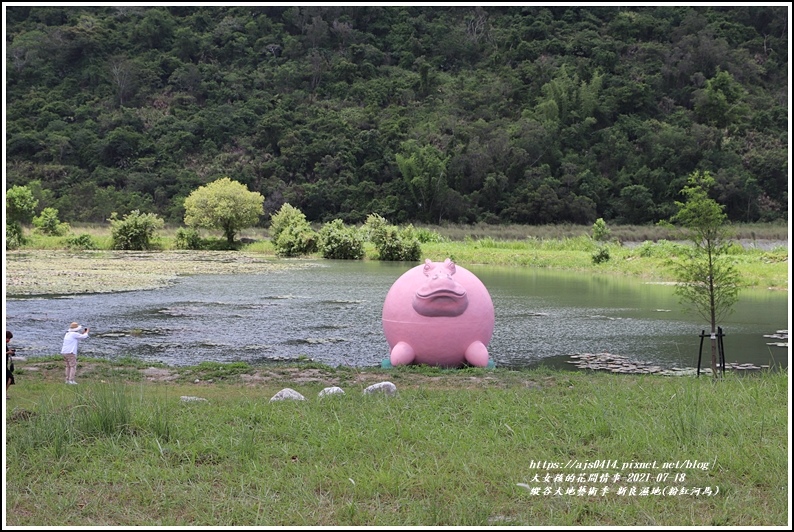 縱谷大地藝術季-新良濕地(粉紅河馬)-2021-07-22.jpg